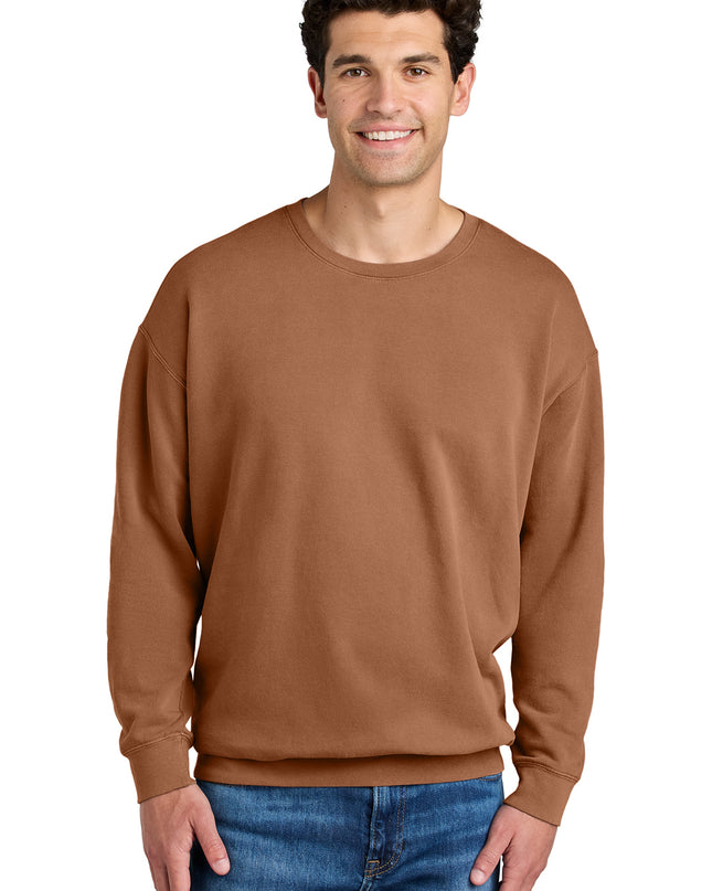 Comfort Colors Lightweight Crewneck Sweatshirt 1466