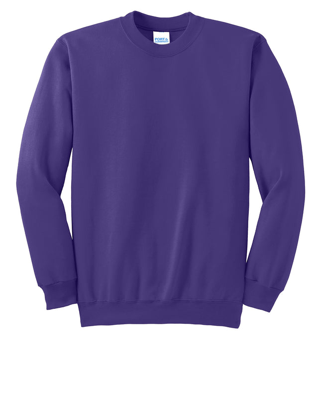 Port & Co Essential Fleece Crewneck Sweatshirt.  PC90